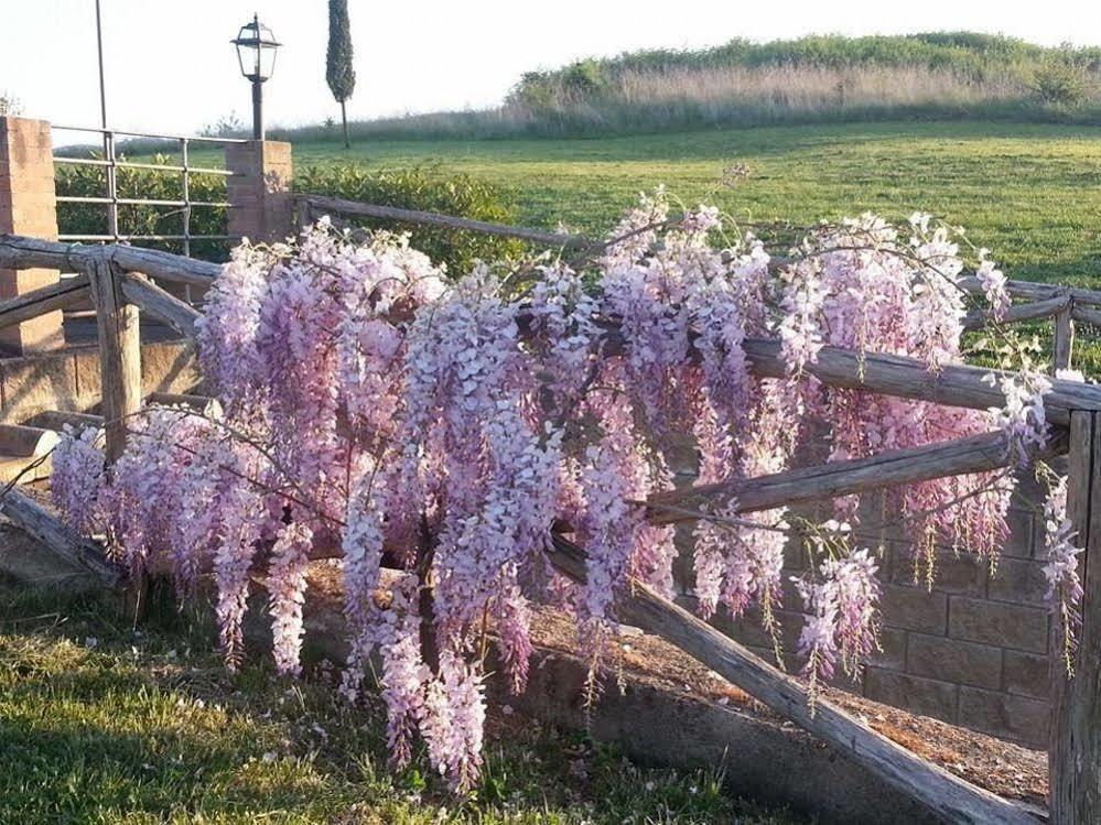 Agriturismo Ragoncino 拉亚蒂科 外观 照片